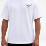 Falcon Origin
